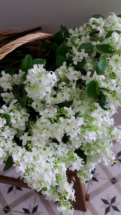 Lilac Stems Set of Three